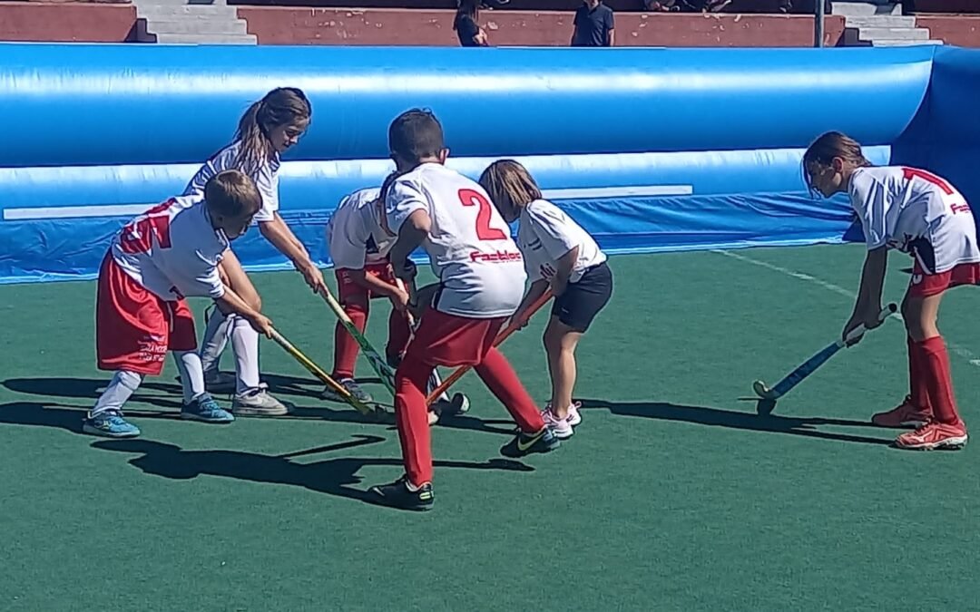 Corsi di hockey e…